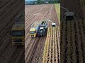 Brazil Advance Farming Explaine Modern Agriculture Explained  #shorts #viral #farming #facts #farmer