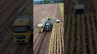 Brazil Advance Farming Explaine Modern Agriculture Explained  #shorts #viral #farming #facts #farmer