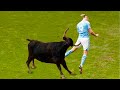 Epic Moments When Nature Stops Football Match