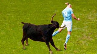 Epic Moments When Nature Stops Football Match