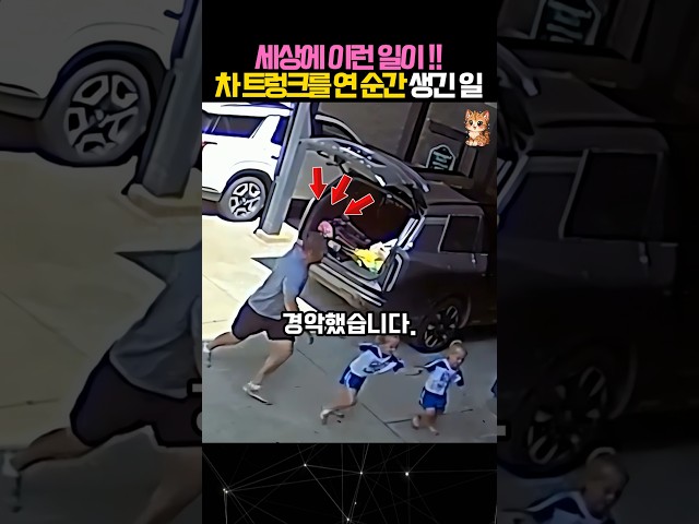 트렁크를 열자마자 가족이 경악한 이유 #동물 #곰 #animals