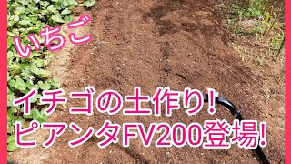 イチゴの土作り!ピアンタFV200登場!