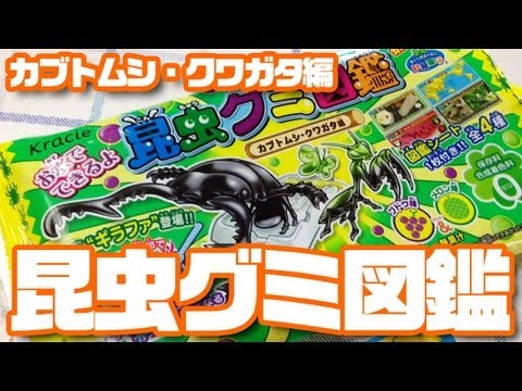 昆虫グミ図鑑 カブトムシ クワガタ編