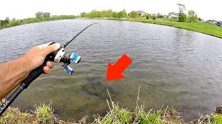 Giant NASTY Creature caught Fishing in Neighborhood Pond!!!