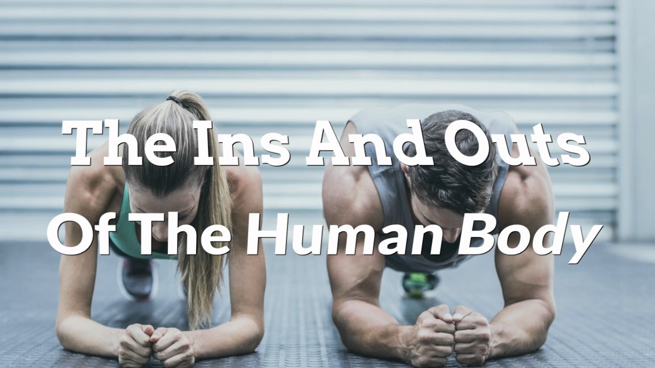 Certificate III In Fitness - Kickstart Your Career In Fitness Industry