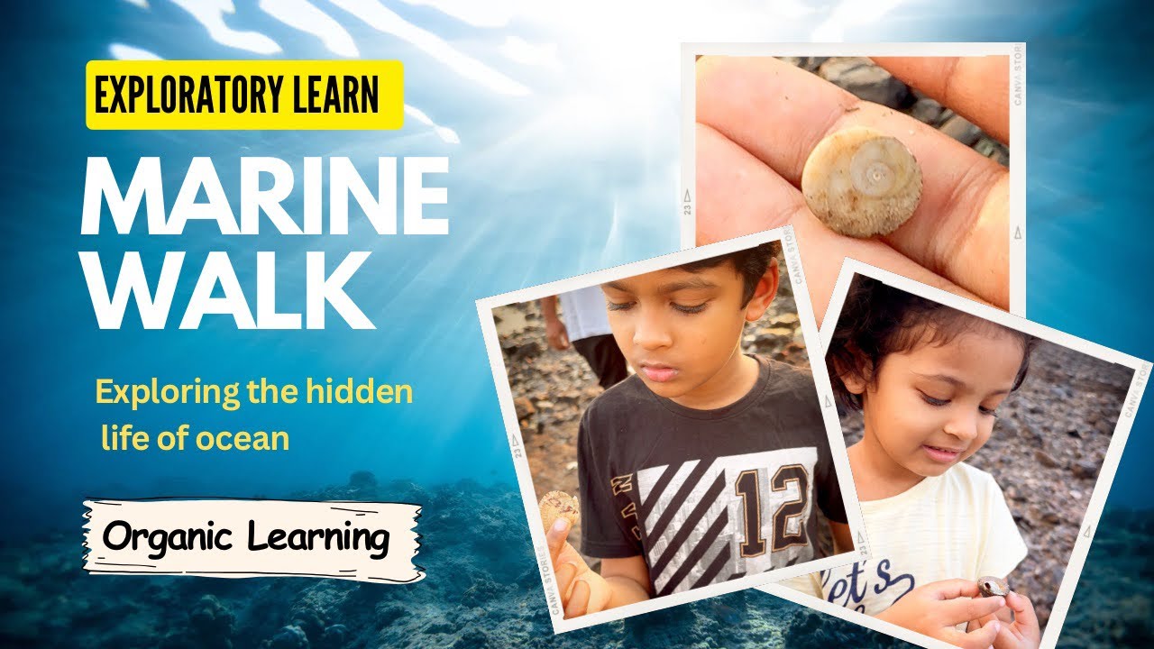 Marine Walk | Exploring hidden life of ocean | Exploratory Learning ...