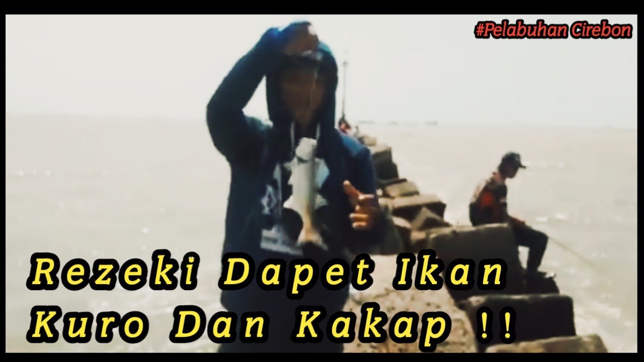 Mancing Di pelabuhan Cirebon|| Strike Ikan Kakap Dan Kuro || 