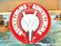 Ролик о кругах SWIMTRAINER и одежде от FREDS SWIM ACADEMY