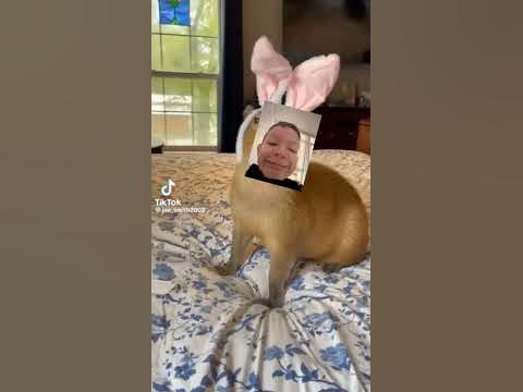 капиникита🤣🤣🤣🤣 - YouTube
