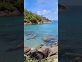 Google Pixel 6a anse major #googlepixel6a #shortvideo #seychelles #short