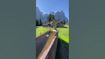 من أجمل تلاوات. 🥀🥀القارئ إسلام صبحي 🥀🥀وجمال الطبيعة🌿🌾🌿