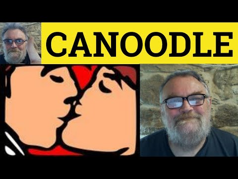 Video: När lades canoodle till i ordboken?