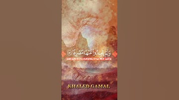 {وَرَأَى الْمُجْرِمُونَ النَّارَ فَظَنُّوا أَنَّهُمْ مُوَاقِعُوهَا} #سورة_الكهف al-Kahf 53-54
