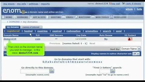 How to update your DNS at enom.com