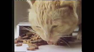 Download Mp3 Fish Ahoy Cat Food Commercial Gudang lagu Download Mp3 Fish Ahoy Cat Food Commercial