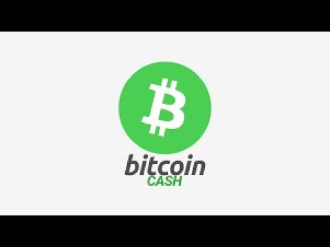 Bitcoin Cash ($BCH) Pops 9% — Is the Market Finally Turning?