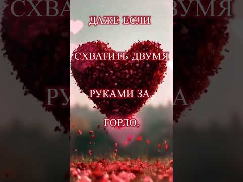 Желаю всем взаимной любви ❤️🥰💫 #shortvideo #любовь #цитатыосмысле #открытки #взаимность