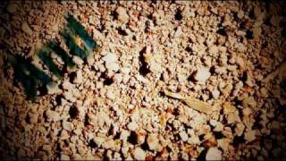 Green Pion Worldphone Commercial En.wmv