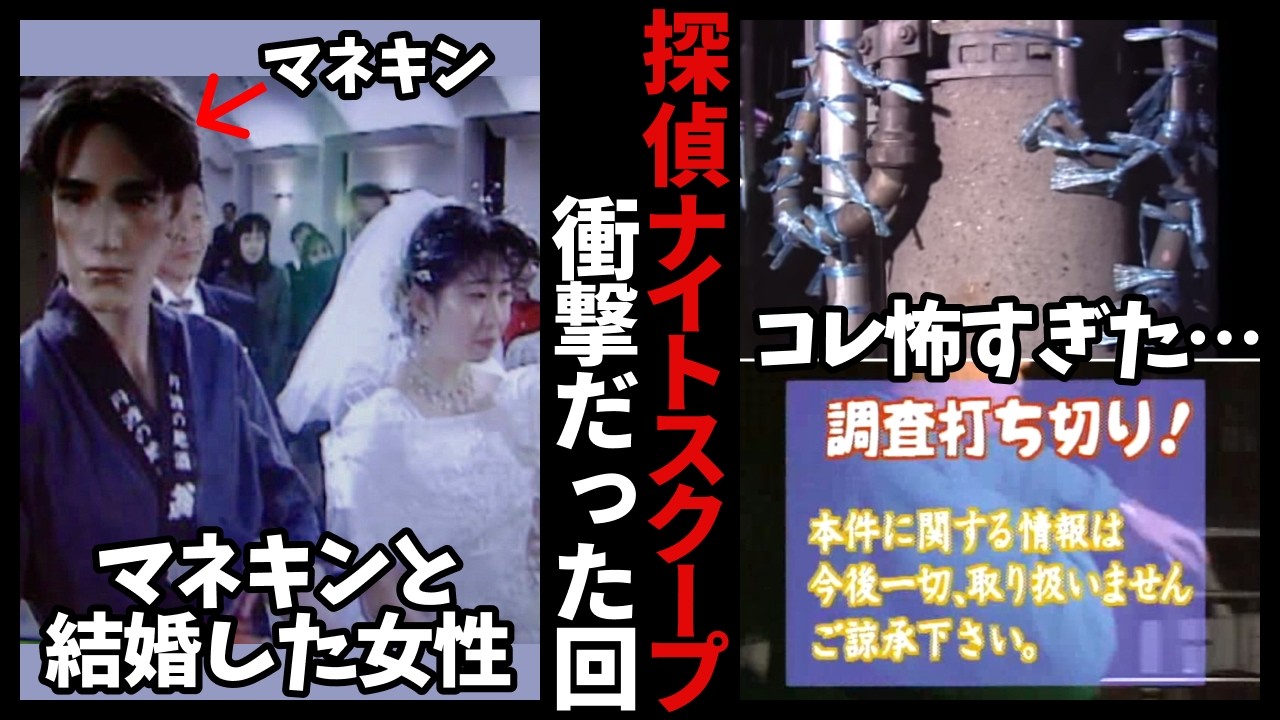 【有益2ch】テレビ番組「探偵ナイトスクープ」で印象に残った衝撃回あげてけ！（マネキンと結婚・謎のビニール紐・ヤングケアラー問題 etc…）【ガールズちゃんねる】