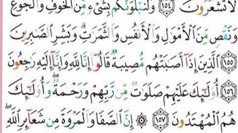 سورة البقرة-حفظ وتكرار الآيات ١٥٥-١٥٦-١٥٧ #فجاءة_خاطرة