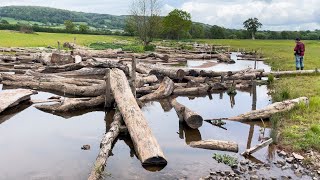 Renaturyzacja rzek w Anglii
