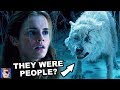 The Truth About The Wolves In Beauty and the Beast | Disney Theory