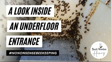 Underfloor Entrances - Look Inside