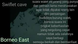 Sp walet Cave G8H2..audio panggilan walet yang dirahasiakan..belum berhasil silahkan pakai suara ini
