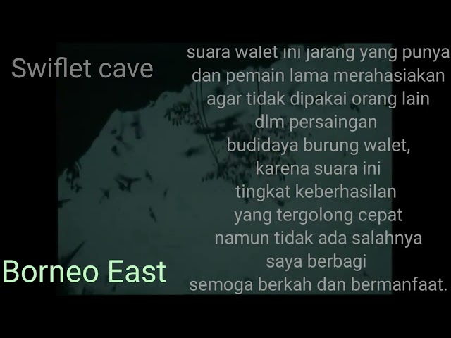 Sp walet Cave G8H2..audio panggilan walet yang dirahasiakan..belum berhasil silahkan pakai suara ini class=