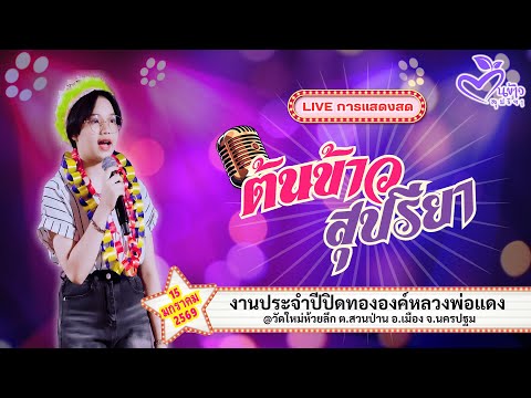 ลงใหม่ เสียงชัด🔴Live🔴🌾ต้นข้าว🌾งานประจำปี @วัดใหม่ห้วยลึก | 15 มกราคม 2569