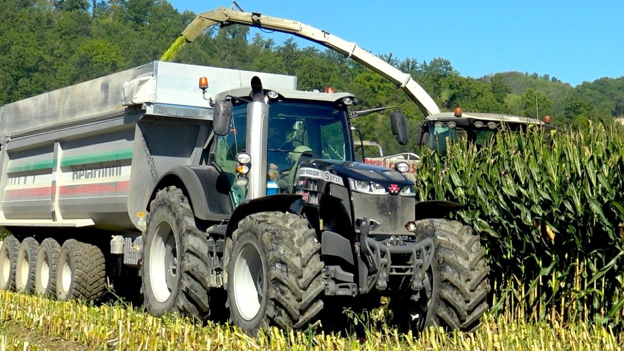 Massey Ferguson 8737 S | Class Jaguar 960 | Trinciato