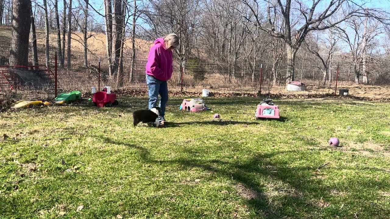 “Quinn” Moon’s black tri male 