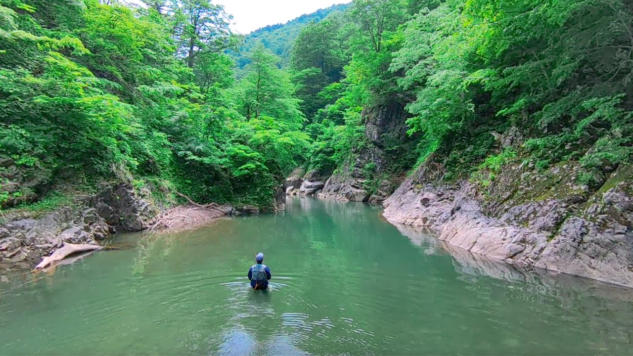 雪代後の大源流にやばいやつがいる