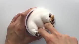 The Best Most Satsfying Slime