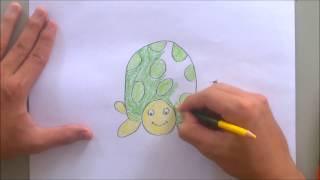 How to draw turtle easy for kid  with letter o| The alphabet song