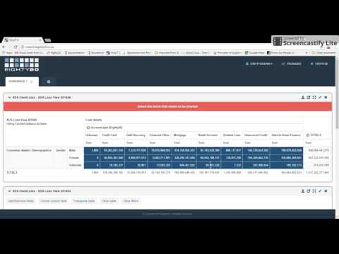 XDS-Eighty20 Credit Portal How To Video