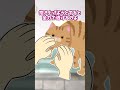 【2chほっこり】ちょっとクセ強にゃんこだけど #Shorts #2ch