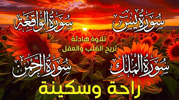 سورة  يس+الملك+الرحمن+الواقعة(تلاوة هادئة😴😌) 2023💚 القارئ محمد هشام💚