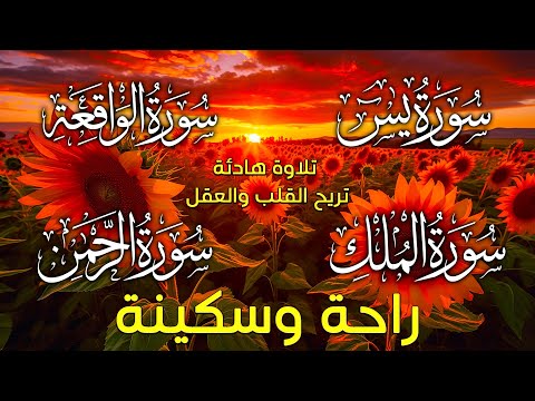 سورة يس الملك الرحمن الواقعة تلاوة هادئة 2023 القارئ محمد هشام 