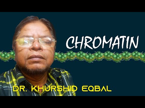 Chromatin | کروماٹین  |  क्रोमेटिन