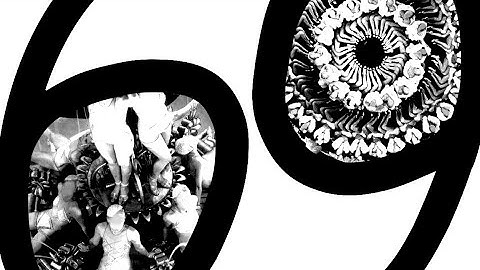 Busby Berkeley Dreams