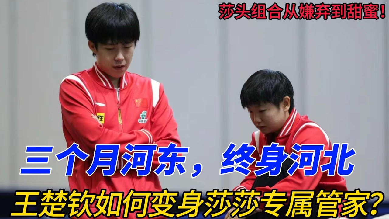 孙颖莎×王楚钦：从互不对眼到甜蜜搭档，赛场名场面笑翻全网！三个月河东终身河北，莎莎如何让贵头变‘卑微管家’？巴黎奥运混双胜利背后故事曝光！#王楚钦 #孙颖莎 #莎头 #熱門 #乒乓 #天选混双