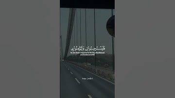 (وَإذَا سَألكَ عِبادِي عنّي) | بدر المشاري🍃 #القرآن_الكريم #القران #تلاوات #كرومات #حالات