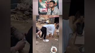 Malik Ye Kya Pehna Dia 😭🐶 #shorts #viral #funny #shortsfeed #comedy #meme