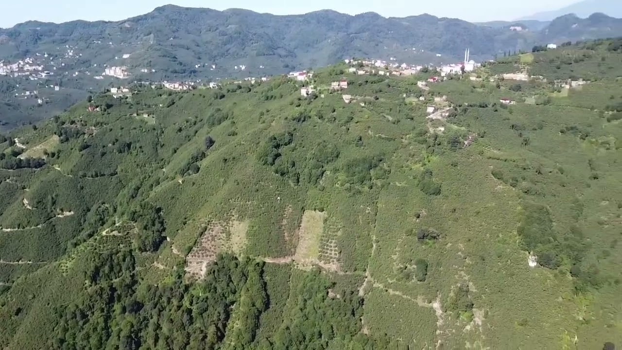 Gürağaç aladere güce