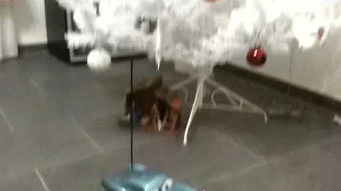 Finn McMissile brennt unter dem Weihnachtsbaum (nichts für Kinder)