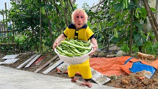 Bibi farmer harvests green beans and cooks with grandma!