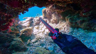 I made a Video! Spearfishing the Whitsundays