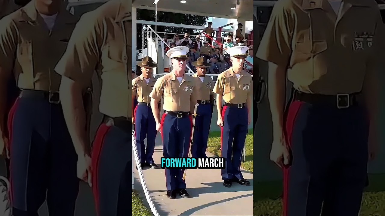 Marine Corps: Drill Instructors on Graduation Day 🇺🇸