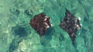 Manta Ray Cove Maui
